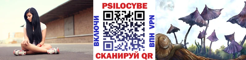 Псилоцибиновые грибы Magic Shrooms  Усть-Илимск 