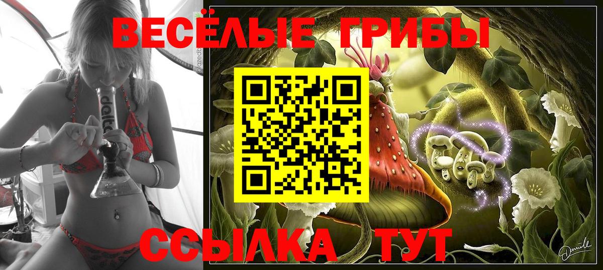 Псилоцибиновые грибы мухоморы Усть-Илимск